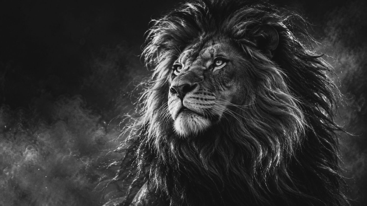 House of Lions brand artwork: a lion