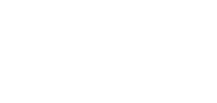 House of Lions