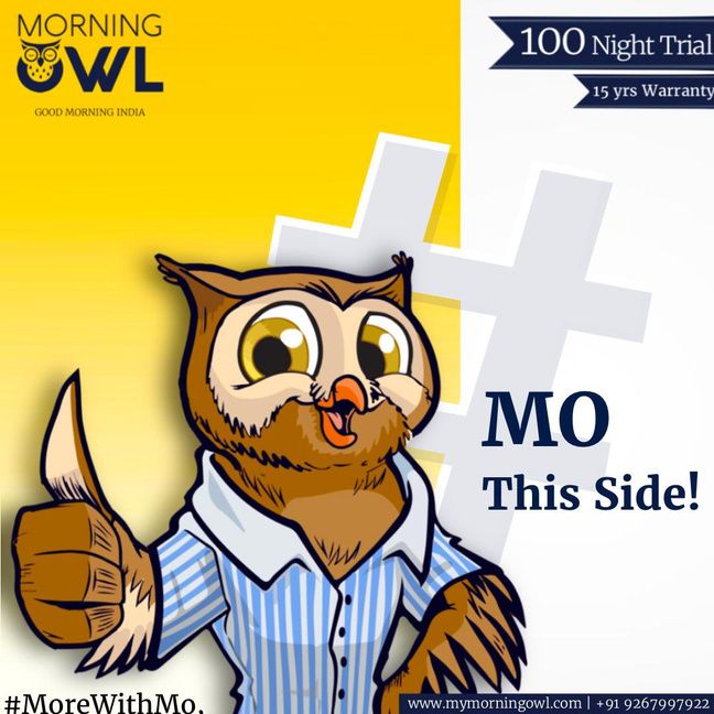 Morning Owl
