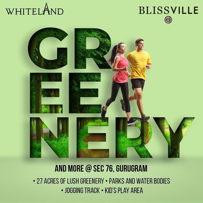 Whiteland Corporation creative