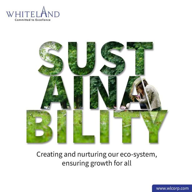 Whiteland Corporation creative
